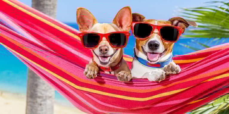 How to Stay Productive at Work This Summer