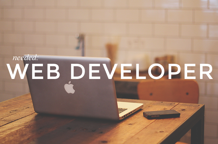 How to Choose a Website Developer for Your Next Project